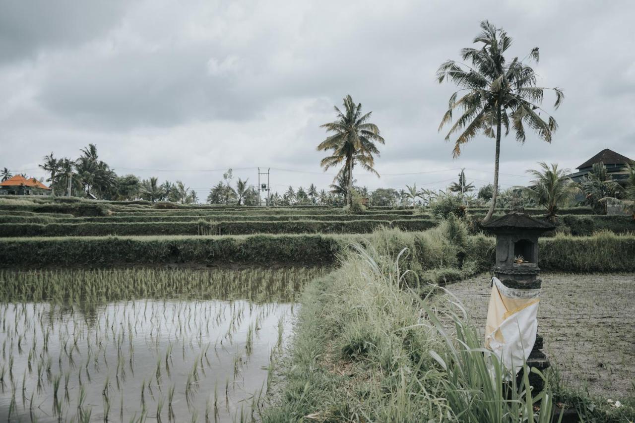 The Ning Resort Ubud Dış mekan fotoğraf