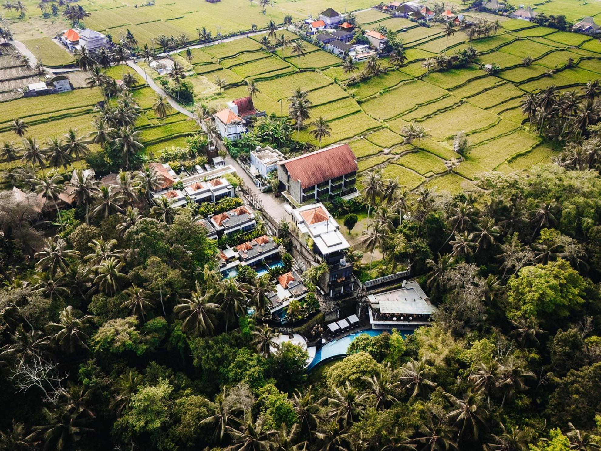 The Ning Resort Ubud Dış mekan fotoğraf